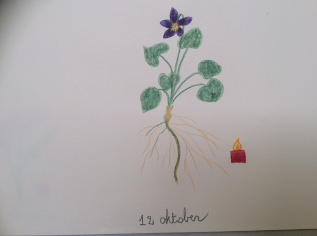 bloem